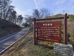 -南京老山国家森林公园