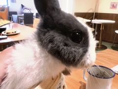 -大象厨房(重庆道店)