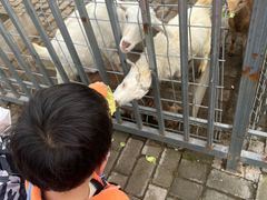 -上海长兴岛郊野公园