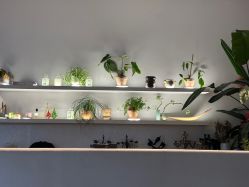 -WAVE SODA摄影工作室