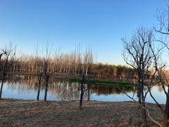-东郊湿地公园