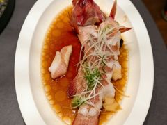 -曼格纳·曼芯馆(杨浦店)