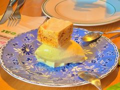 -O'eat Blossom&Pelican(深圳首店)
