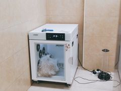 -佳雯宠物医院·皮肤科·内外科(春晓路分院)