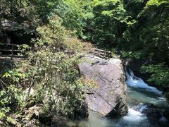 -石台牯牛降景区
