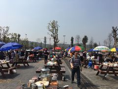 -枫香湖儿童公园