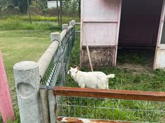 -嬉乐湾休闲旅游区