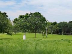 -太阳宫公园