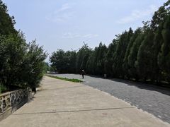 -北京鹫峰国家森林公园