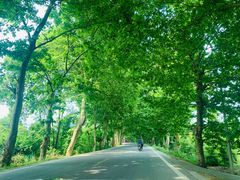 -桤木河湿地公园