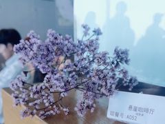 -悬崖咖啡厅