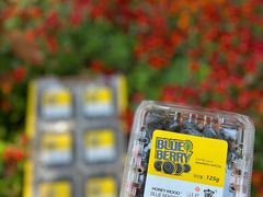 -家乐福(古北店)