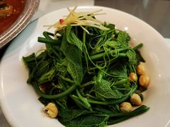 清香南瓜尖-巴依老爷新疆美食(清华东门店)