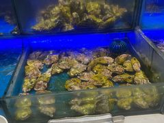 -SEA西雅图海鲜自助餐厅(海乐世界店)