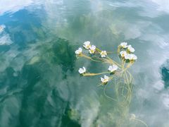 -丽江泸沽湖景区