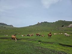 -克什克腾世界地质公园青山景区