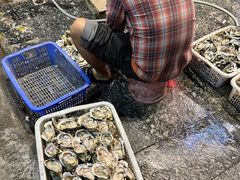 -蚝抵食·湛江生蚝(湾北路店)