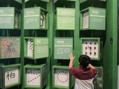 -四川大学博物馆
