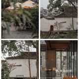 穿越市井烟火气，住进松阳人文秘境！倪妮打卡