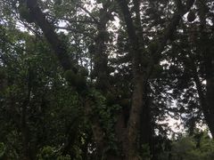 -人民公园(罗湖区)