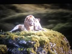 -百美汇影城(LUXE嘉里中心店)