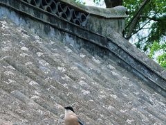 -青岛崂山太清宫