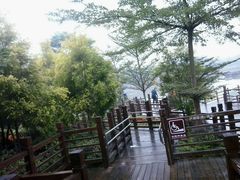 -大湾区中央湿地公园