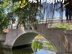 -金砂公园