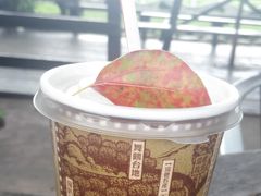 -瑞穗牧场