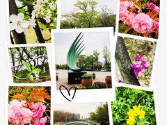 -白塘生态植物园