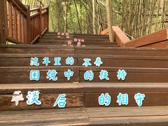 -天河潭旅游度假区