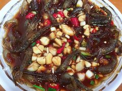 -全乐鱼馆·淳牌有机鱼直营店