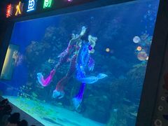-邯郸海洋世界