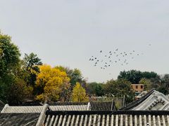 -糖房咖啡(南锣鼓巷店)