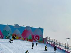 -沈阳奥体冰雪嘉年华