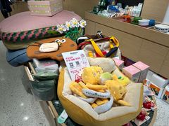 -電力宠物公司(武定路店)