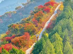 -大岭沟猕猴桃谷风景区