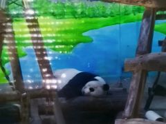-柳州市动物园