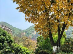 -重庆工商大学(南岸校区)