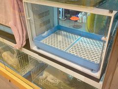 -雨林宠物医院 非犬猫异宠专科