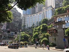 -一只酸奶牛(八一路店)