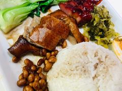 招牌双拼饭-金戈戈香港豉油鸡(皇庭广场店)