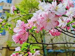 -麦度量贩式KTV(中联广场店)