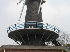-上海鲜花港