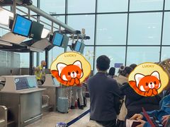 -米兰马尔彭萨国际机场