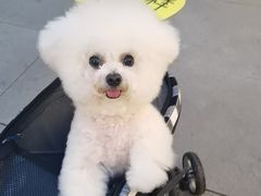 -艾贝尔宠物医院·24H转诊中心·肿瘤猫专科(江宁双龙店)