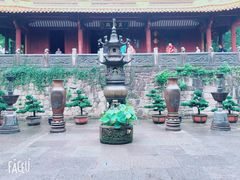 -普陀山风景名胜区-法雨禅寺