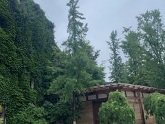 -中国美术学院象山校区-民艺博物馆