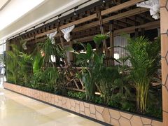 -大头椰·椰子鸡火锅(南宁万象城店)