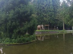 -武陵山森林公园